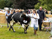 Malton Show 2024